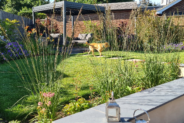 pet-safe garden