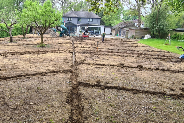 Waterlogged garden solutions