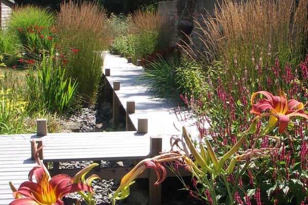 Harmonious Garden Colour Scheme