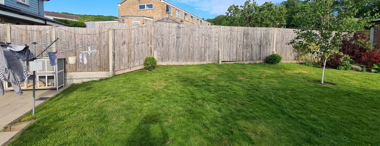 Garden 3 - Before