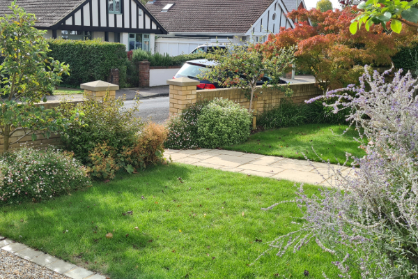grass front garden