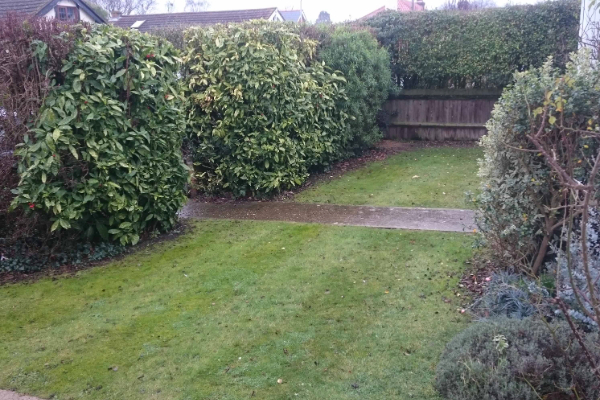 Garden 2 before restoration by Haywood Landscapes